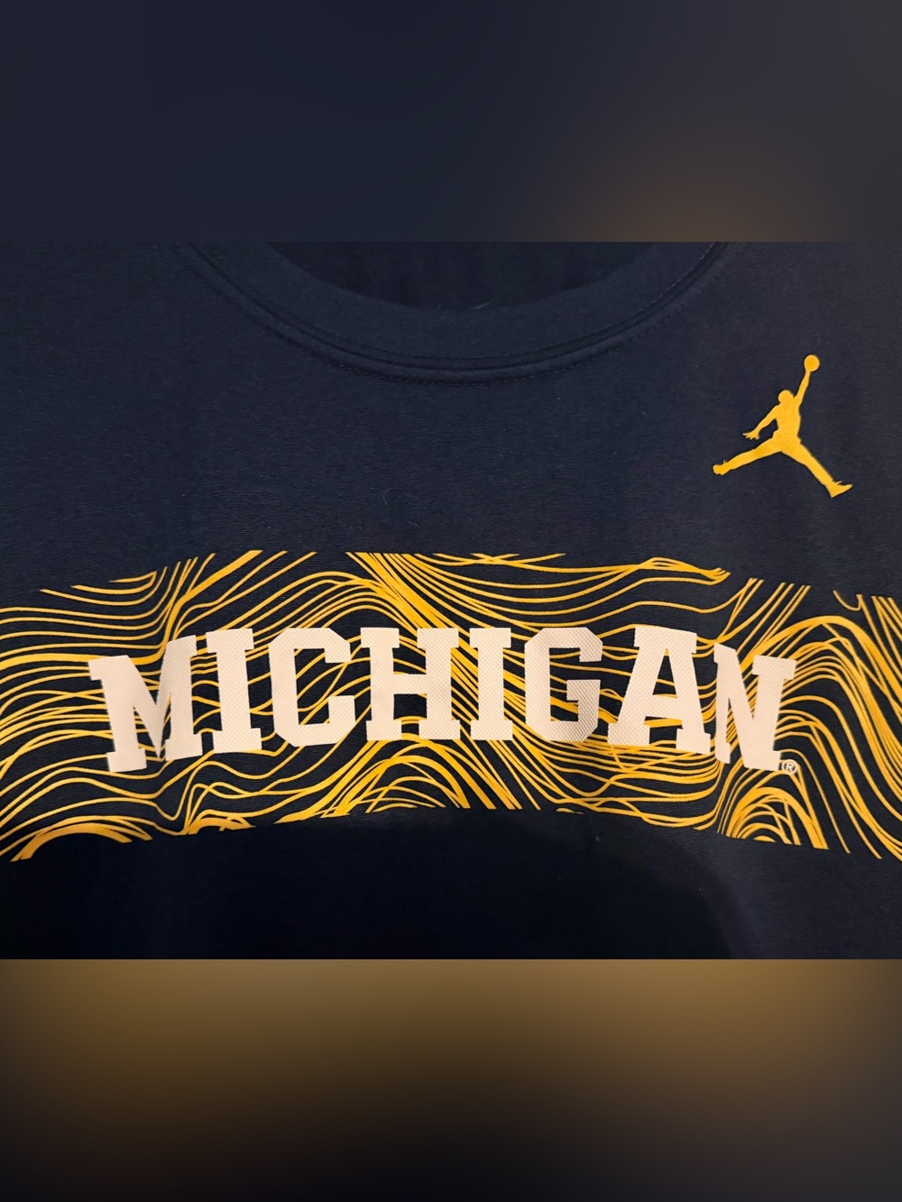 Michigan Wolverines Jordan The Nike Tee Men’s Small College Football Basketball